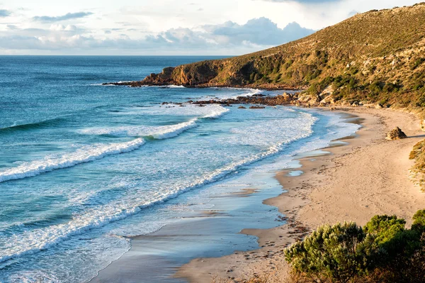 Kangaroo island landcape at sunset — Stock Photo, Image