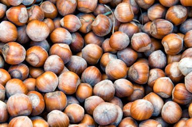 fındık piyasasında Satılık için