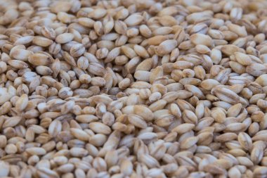 piyasada Satılık darı