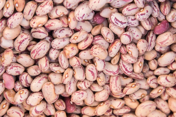 Dried beans on sale at Market — Stock Photo, Image