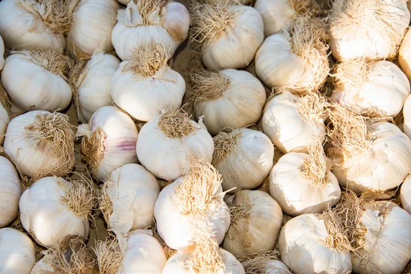 Sarımsak başları piyasada — Stok fotoğraf