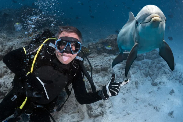 돌고래 수 중 바다 배경으로 selfie — 스톡 사진