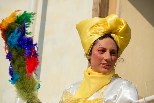 VIAREGGIO, ITALIA - 17 DE FEBRERO DE 2013 - Desfile del Carnaval en la calle de la ciudad — Foto de Stock