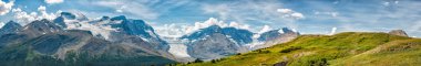 Icefield Park buzulun görünümü panorama