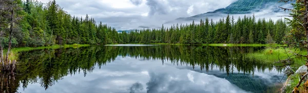 Lago vicino al ghiacciaio Mendhenall paesaggio enorme — Foto Stock