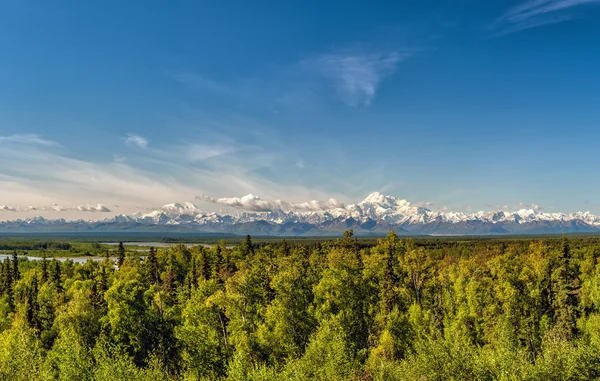 Denali parku mount mc kinley panorama — Stock fotografie