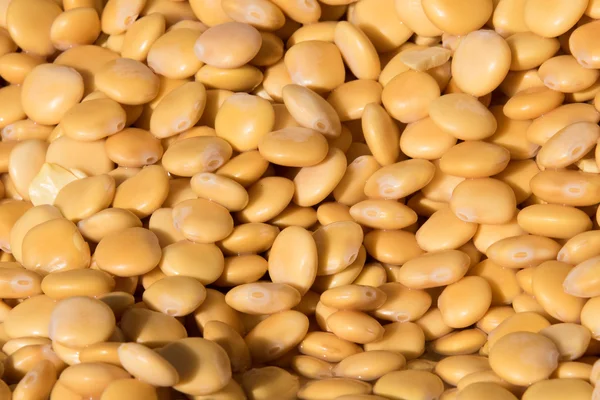 Lupins on stand at the market — Stock Photo, Image