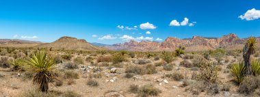 Arizona manzara görüntülemek kadar Batı Film