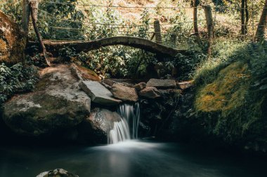 Dağın ortasındaki şelale ve köprünün altındaki orman.