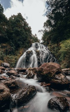 Siyah taştan bir şelaleye uzun süre maruz kalmış. Orta Meksika 'da 8 ormanından birinde yapılmış minimalist bir manzara.