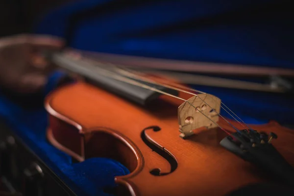 Músico Delicadamente Tira Seu Instrumento Sua Caixa Azul Violino Cor — Fotografia de Stock