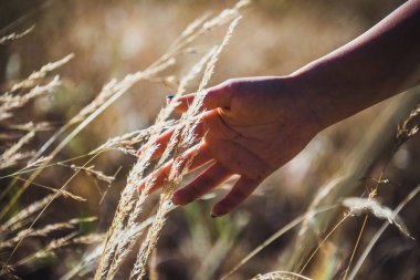 Gün batımında uzun otları okşayan ellerin ayrıntıları. Arka planda ağaçlar, dallar ve çimlerle kaplı ormanı görebilirsiniz.