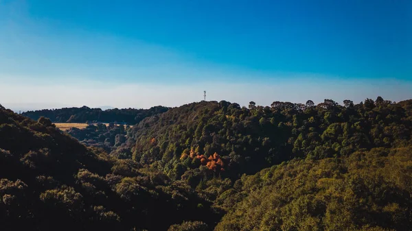 ドローンで撮影された高さから森の風景は 道路や山を見ることができます5 — ストック写真