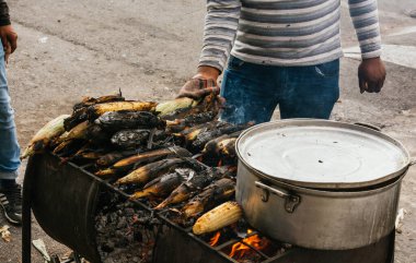 Fırında kızartılmış mısır, tipik Meksika yemeği..
