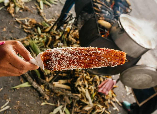 Kızarmış mısır, acı biber tozu ve peynirle hazırlanmış, tipik Meksika yemeği..