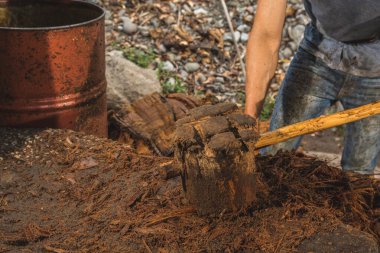 İşçi, liflerin suyunu sıkmak için maguanın kalbine tahta bir çekiçle vuruyor ve böylece tipik bir Meksika içeceği olan mezcal yaratabiliyor.