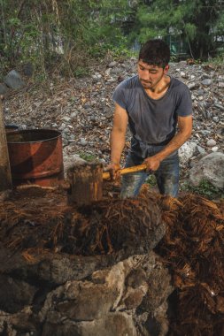 Mezcal ustası ananası ahşap bir çekiçle ezip suyunu çıkarıyor ve onu mezcal 'a çeviriyor..