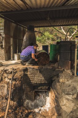 Mezcal ustası onları pişirmek için agave ananaslarının özünü döküyor ve mezcal 'ın yapıldığı suyu çıkarıyor..