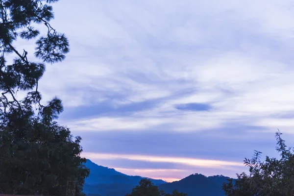 하늘은 나무를 가로지르는 보라색으로칠 — 스톡 사진
