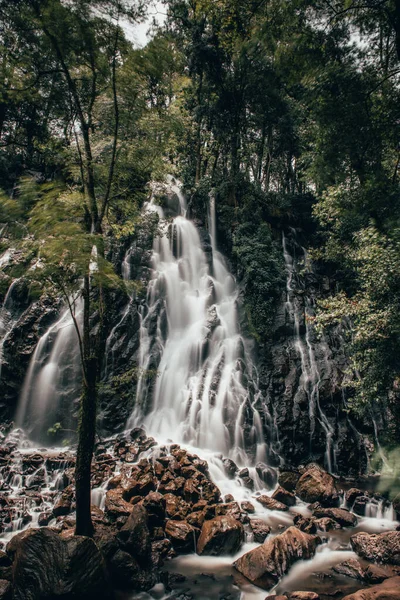 Valle de Bravo 'daki şelale ve nehir, uzun süre su altında kalan ipek etkisiyle, inanılmaz orman manzarası.