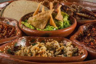 Escamoles (ant eggs) refried with tortilla chips and guacamole, traditional Mexican food of pre-Hispanic origin, served on a clay plate.