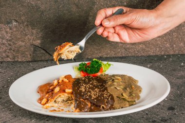 Enmoladas de encacahuatado, mole negro, pipian served on the same white plate, stuffed with chicken.