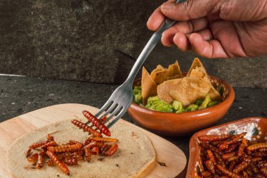 Fried maguey worms with tortilla chips and guacamole, traditional Mexican food of pre-Hispanic origin, served on a clay plate.