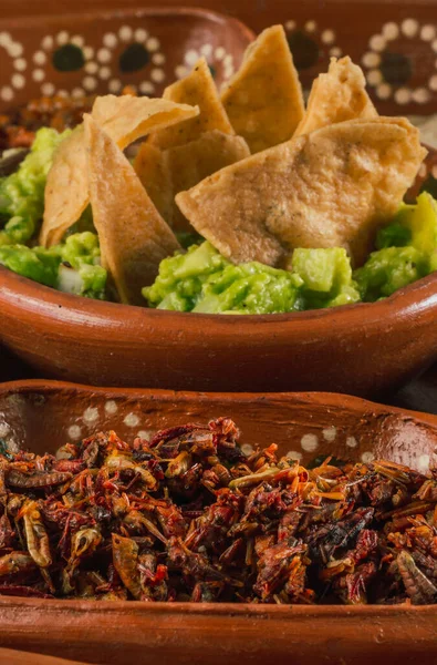 Plate Multiple Edible Insects Traditional Mexican Food Dishes Escamoles Grasshoppers — Foto de Stock