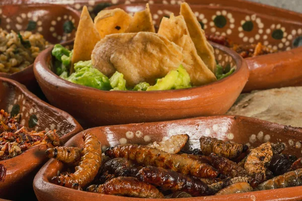 Plate Multiple Edible Insects Traditional Mexican Food Dishes Escamoles Grasshoppers — Foto de Stock