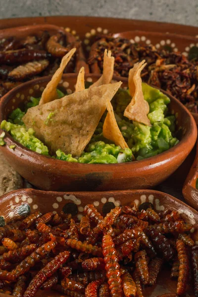 Prato Com Múltiplos Insetos Comestíveis Comida Tradicional Mexicana Entre Pratos — Fotografia de Stock