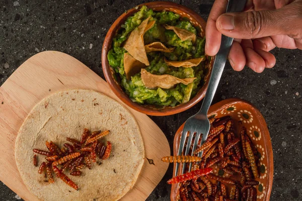 Fried maguey worms with tortilla chips and guacamole, traditional Mexican food of pre-Hispanic origin, served on a clay plate.