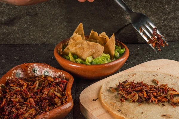 Gebratene Heuschrecken Mit Tortilla Chips Und Guacamole Tortilla Traditionelles Mexikanisches — Stockfoto