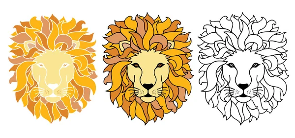 Vector Lions Illustration — Stock Vector