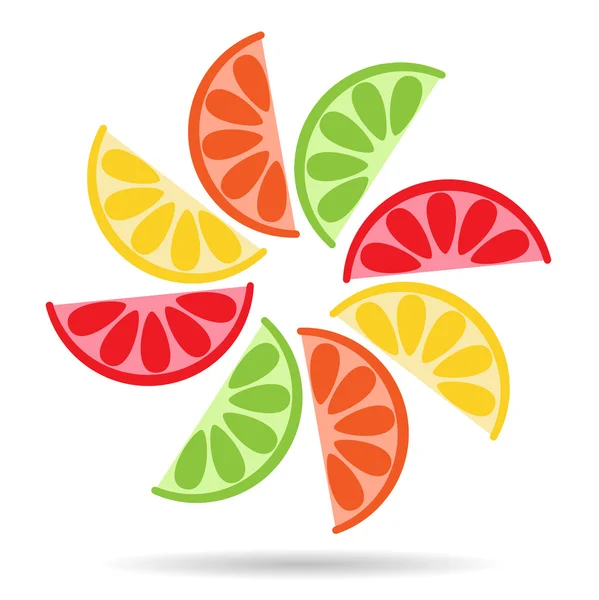 新鮮な柑橘系の果物の半分 — ストックベクタ