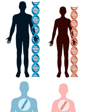 DNA ve insan vücudu