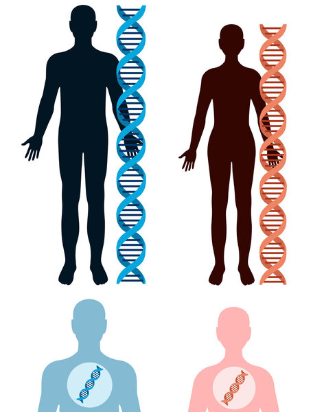 DNA and human body