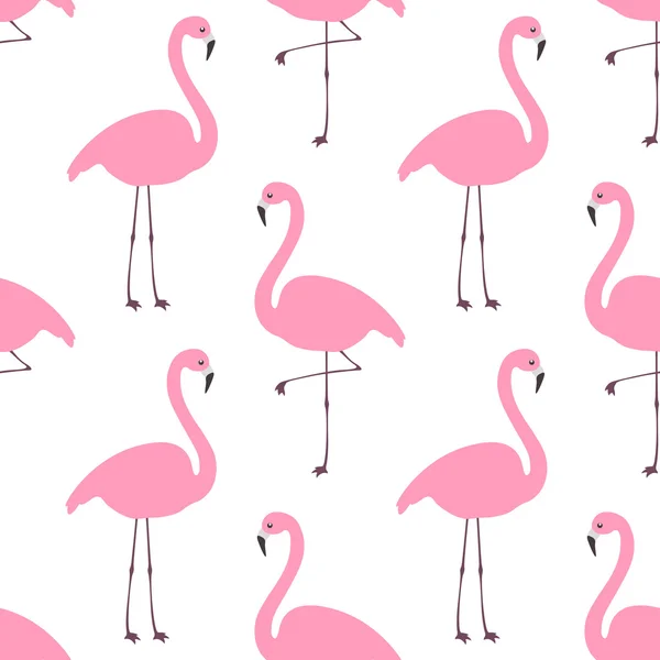 Flamingo sorunsuz duvar kağıdı — Stok Vektör