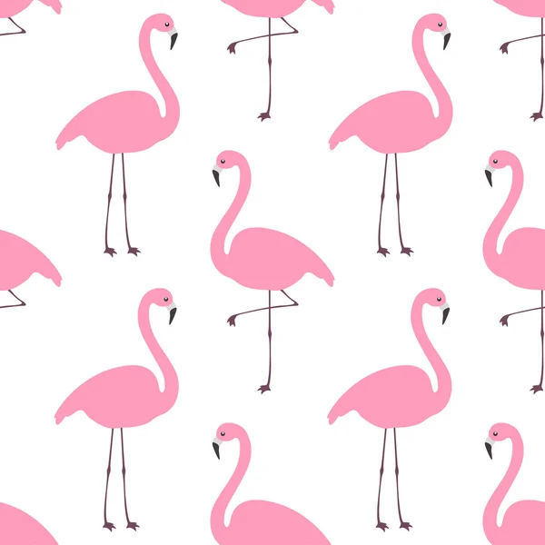 Flamingo sorunsuz duvar kağıdı