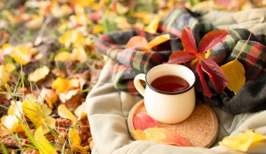 Sonbahar havası, düşünme, park konseptinde piknikte dinlenme. Renkli yaprakların arka planına karşı sıcak çayı olan güzel bir kupa yorganın mantar tepsisinin üzerinde duruyor. Uzayı kopyala Hiç kimse. Yatay Pankart.