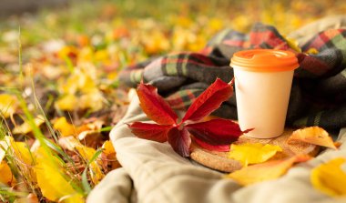 Sonbahar havası, rahatlama, olumlu düşünceler, park konseptinde piknik. Renkli yaprakların arka planında turuncu kapaklı bir fincan kağıt kahve yorganın mantar tepsisinin üzerinde duruyor. Yatay.