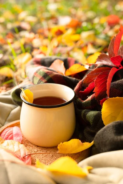 Autumn mood, thinking, relaxation at a picnic in the park concept. Beautiful cup with warm tea against a background of fallen colored leaves stands on a cork tray on a quilt. Copy space. Vertical.