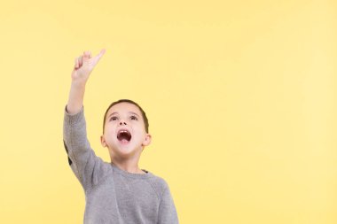 Kafkasyalı çocuğun parlak bir fikri var. El hareketi, işaret parmağı yukarı. Gülen surat. Zeki çocuklar, öğrenmesi zevkli, eğitim konsepti. Uzayı kopyala Stüdyonun arka planında gri kazaklı bir çocuğun portresi..