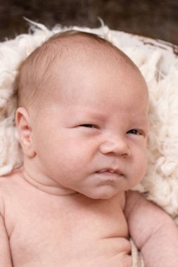 Kahverengi kürk arka planında yuvarlak sepette yatarken yeni doğan komik suratlar. Yenidoğan gelişimi, emziren bebek, komik surat konsepti.