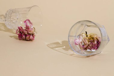 Güzel, kurumuş, pembe yapraklı, cam bir kadehte solmuş çiçek, bej arka planda pastel renklerde kompozisyon. Moda özetleri ve gölgeler, nesnelerin yansımaları. Uzayı kopyala Düzen