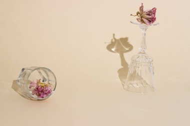 Solmuş çiçekli şeffaf cam kadehlerin zarif kompozisyonu. Renkli arka planda gölgeli ve parlak nesneler. Pastel gölgeler. Yerleşim planı. Metnin için yer.