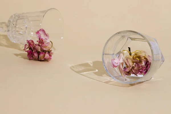 Beautiful dry, wilted flower with pink petals in a faceted glass goblet, composition in pastel colors on a beige background. Trendy highlights and shadows, reflections from objects. Copy space. Layout
