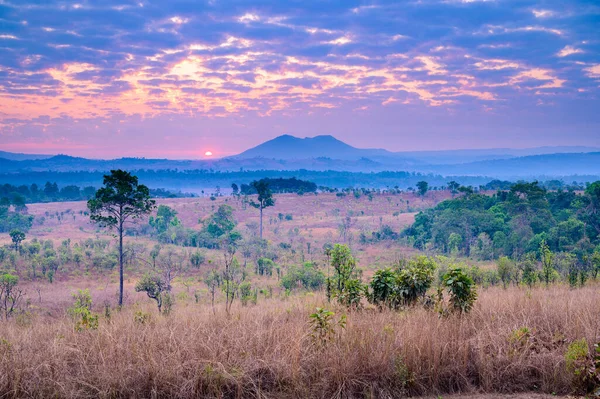 Восход Солнца Горой Тунг Салаенг Луанг Национальный Парк Таиланда — стоковое фото