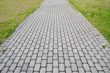 Yeşil çimenli taş blok yürüyüş yolu