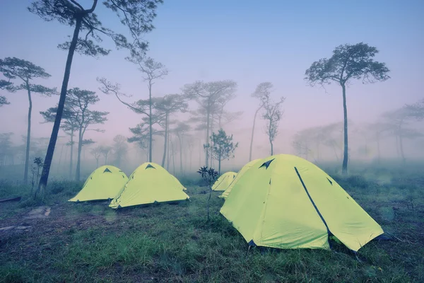 Camping tält på kulle under regnar — Stockfoto