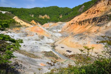 Jigokudani cehennem Vadisi